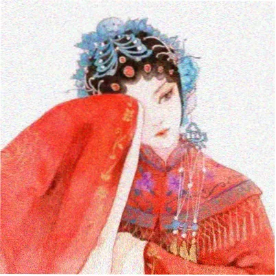 入青云演员 白浅月